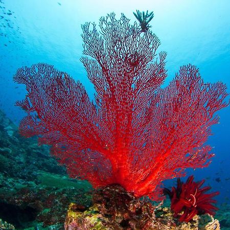 Adani Ksamil คซามิล ภายนอก รูปภาพ